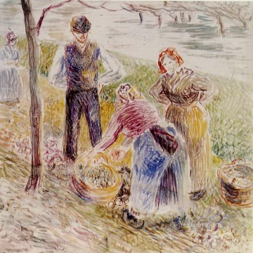  Harvest Painting - harvesting potatos Camille Pissarro